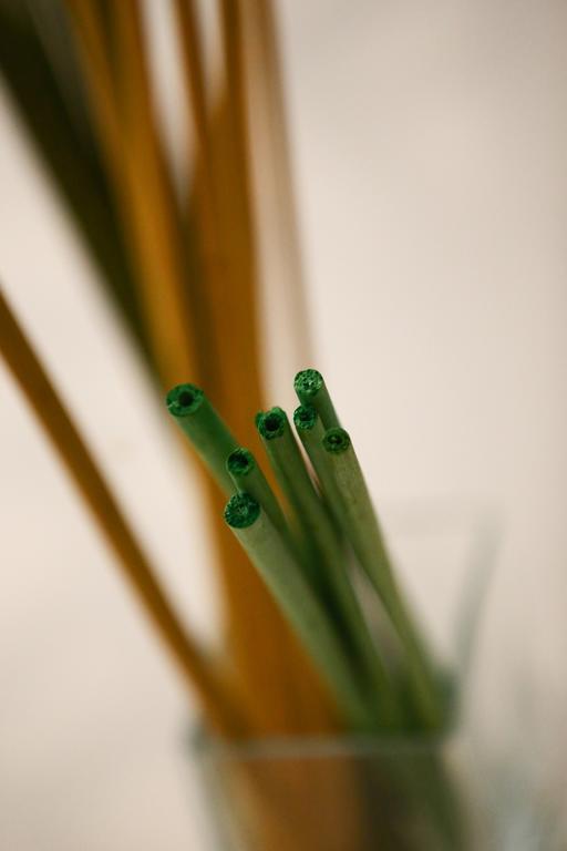 Apartment Green Tea Budapest Center ภายนอก รูปภาพ